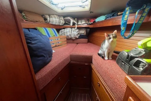 Slide: The Image of Cozy cabin interior of 1987 Sabre 42 K/CB sailboat with a cat on the bed. - 3