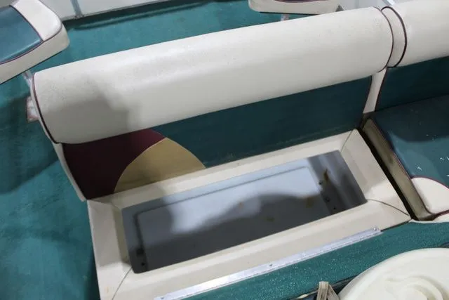 Slide: The Image of Forester Partyfish 2004 - 21