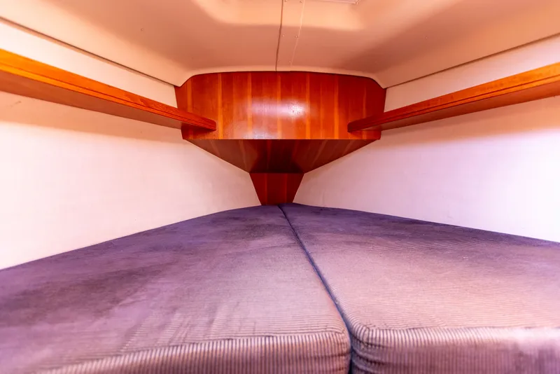 Slide: The Image of Hunter Hunter 36 2004 - 61