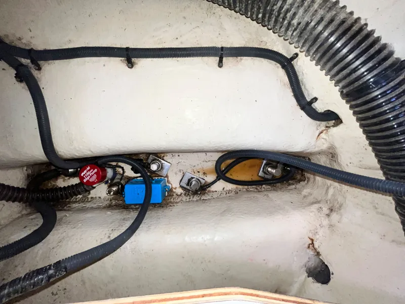 Slide: The Image of Hunter Hunter 36 2004 - 69