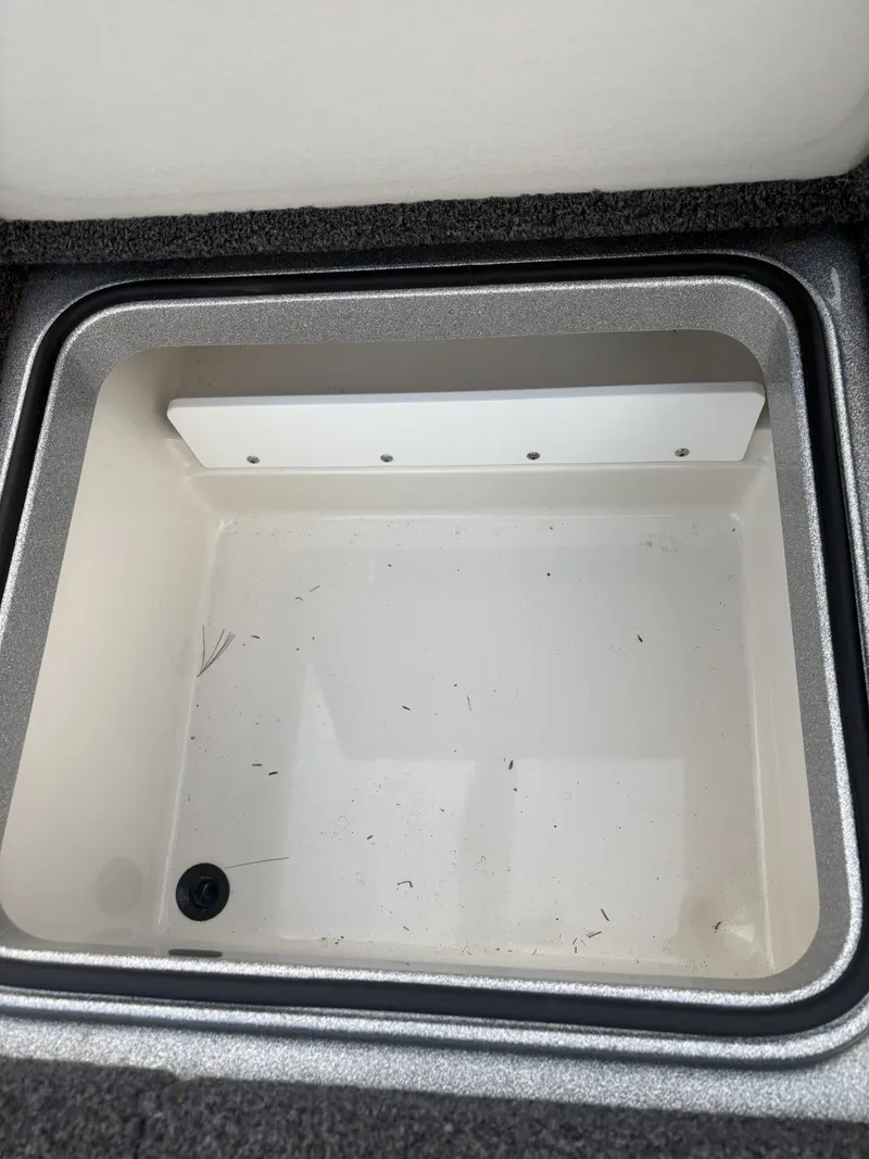 Slide: The Image of Ranger Z519 2020 - 27