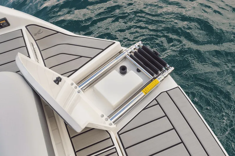 Slide: The Image of Sea Ray SDX 250 2026 - 75