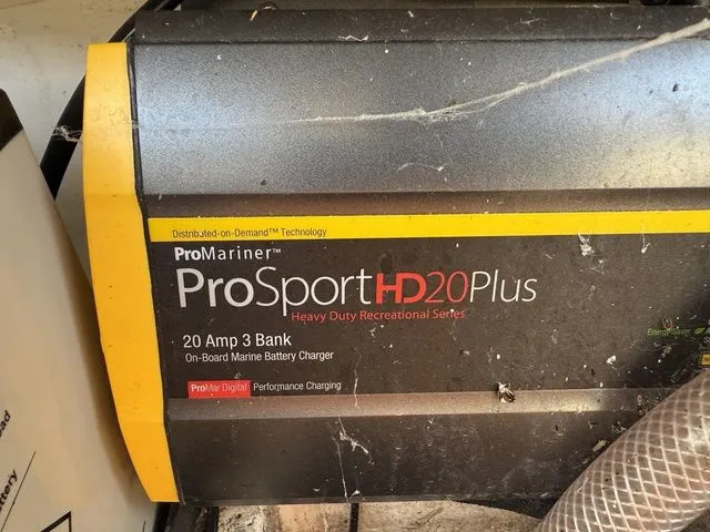 Slide: The Image of Bass Cat Pantera Classic 2021 - 34