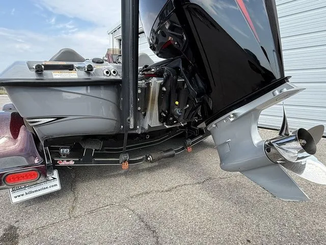 Slide: The Image of Bass Cat Pantera Classic 2021 - 4