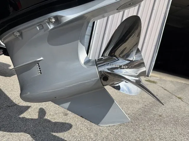 Slide: The Image of Bass Cat Pantera Classic 2021 - 5