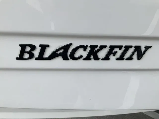 Slide: The Image of Blackfin 262 HB 2026 - 34