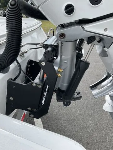 Slide: The Image of Blackfin 262 HB 2026 - 5