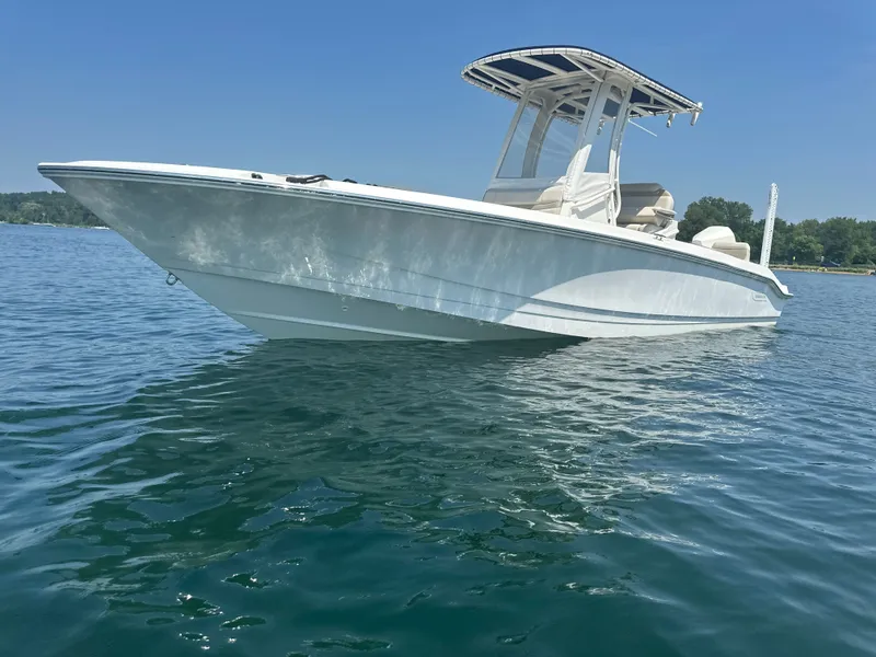 The Image of Boston Whaler Dauntless 250 2022 - 1