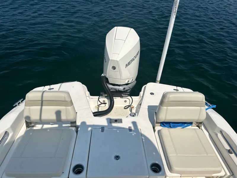 Slide: The Image of Boston Whaler Dauntless 250 2022 - 21