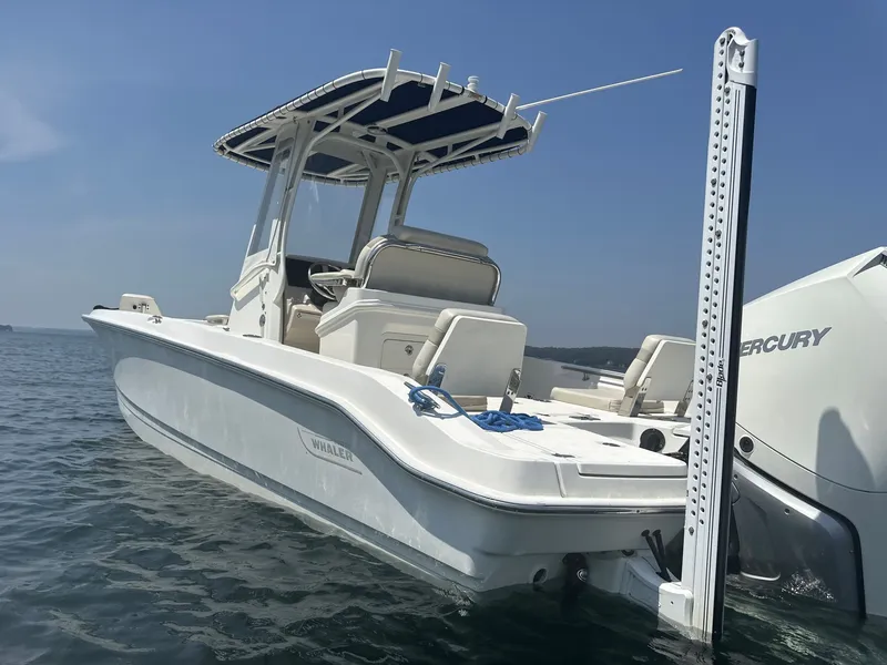 Slide: The Image of Boston Whaler Dauntless 250 2022 - 24