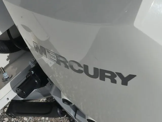Slide: The Image of Sea Ray SDX 250 Outboard 2022 - 10