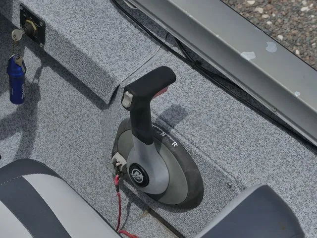 Slide: The Image of Lowe 19.5 2008 - 16