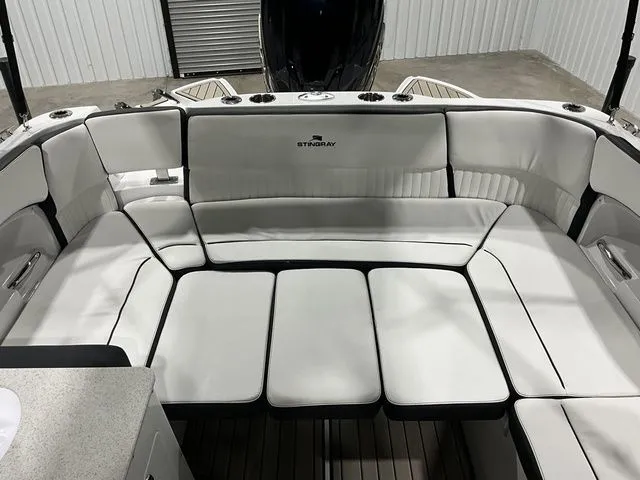 Slide: The Image of Stingray 231 DC 2026 - 8