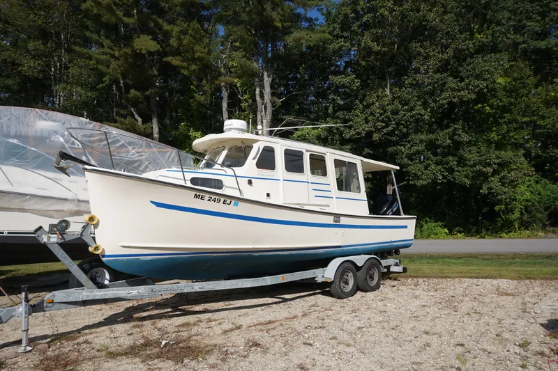 The Image of 2002 Rosborough RF-246 Sedan Cruiser on trailer. - 0