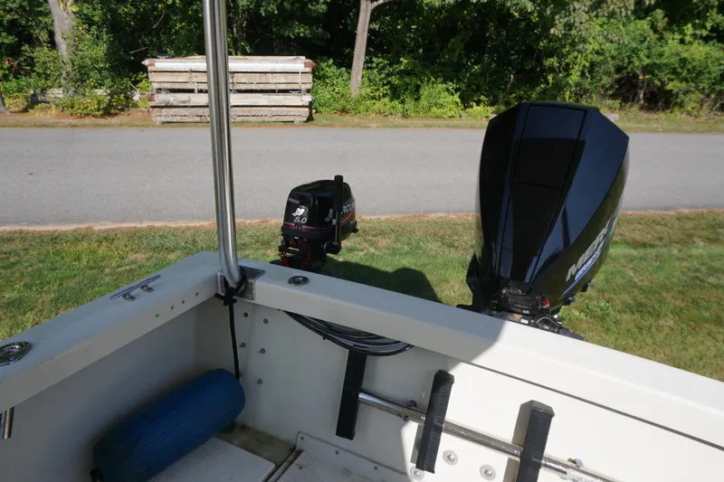 Slide: The Image of 2002 Rosborough RF-246 Sedan Cruiser with dual outboard motors, parked on grass. - 35