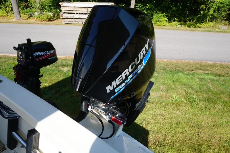 Slide: The Image of 2002 Rosborough RF-246 Sedan Cruiser with Mercury SeaPro outboard motor on grassy area. - 36