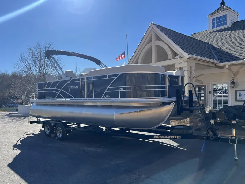 Slide: The Image of Sylvan Mirage 8522 Party Fish 2025 - 16