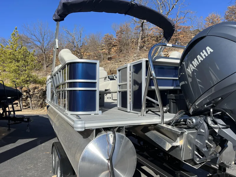 Slide: The Image of Sylvan Mirage 8522 Party Fish 2025 - 18