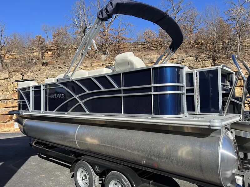 Slide: The Image of Sylvan Mirage 8522 Party Fish 2025 - 2