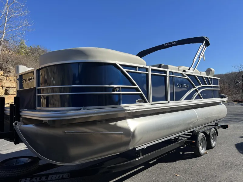 Slide: The Image of Sylvan Mirage 8522 Party Fish 2025 - 20