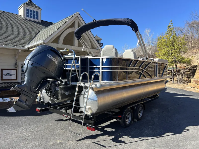 Slide: The Image of Sylvan Mirage 8522 Party Fish 2025 - 26