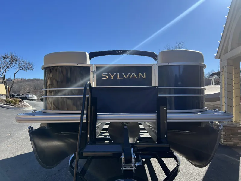 Slide: The Image of Sylvan Mirage 8522 Party Fish 2025 - 32