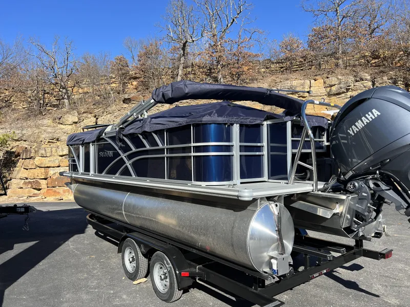 Slide: The Image of Sylvan Mirage 8522 Party Fish 2025 - 39