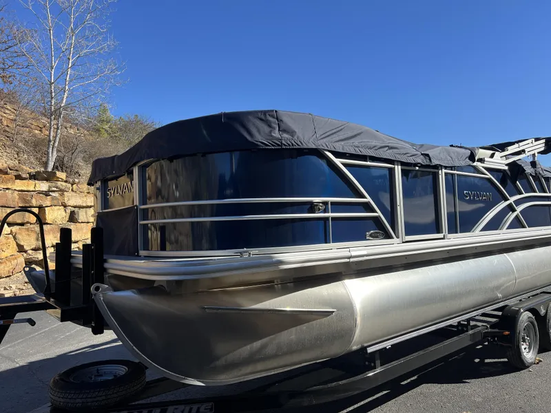 Slide: The Image of Sylvan Mirage 8522 Party Fish 2025 - 43