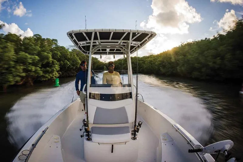 Slide: The Image of Manufacturer Provided Image: 2017 Boston Whaler 210 Dauntless cruising through a scenic waterway at sunset. - 9