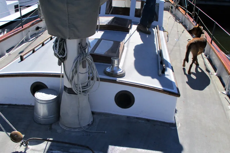 Slide: The Image of 1955 Custom Gaff Rigged Ketch deck with ropes, dog, and person onboard. - 39