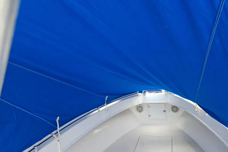 Slide: The Image of 2002 Contender 31 Open boat with blue cover, docked near foliage. - 49