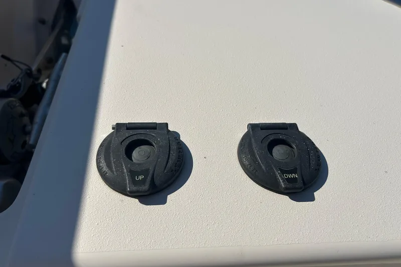 Slide: The Image of Boat controls on a 2020 Grady-White Canyon 306, featuring "UP" and "DWN" buttons. - 38