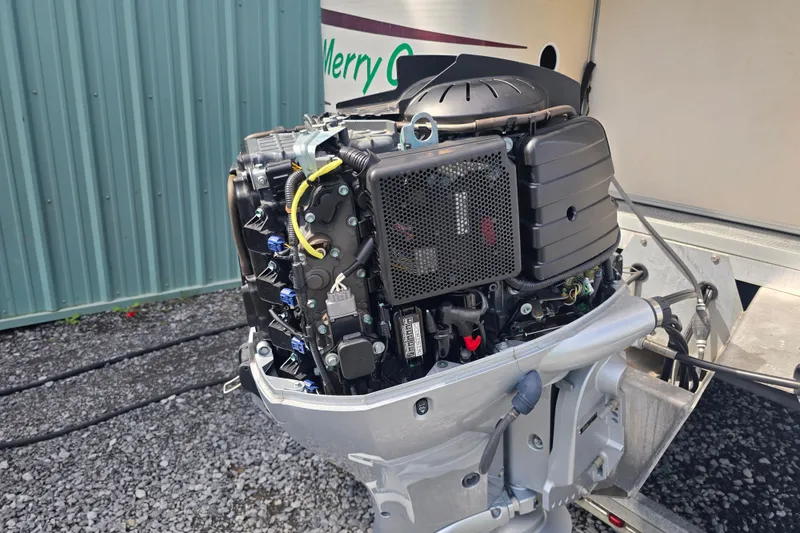 Slide: The Image of Red fabric with a small black insect, Sweetwater 2019RE model, 2003. - 20