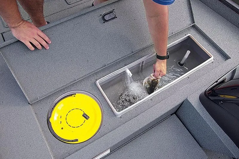 Slide: The Image of Manufacturer Provided Image: 2026 Lowe Skorpion 16 boat livewell with person handling fish. - 10