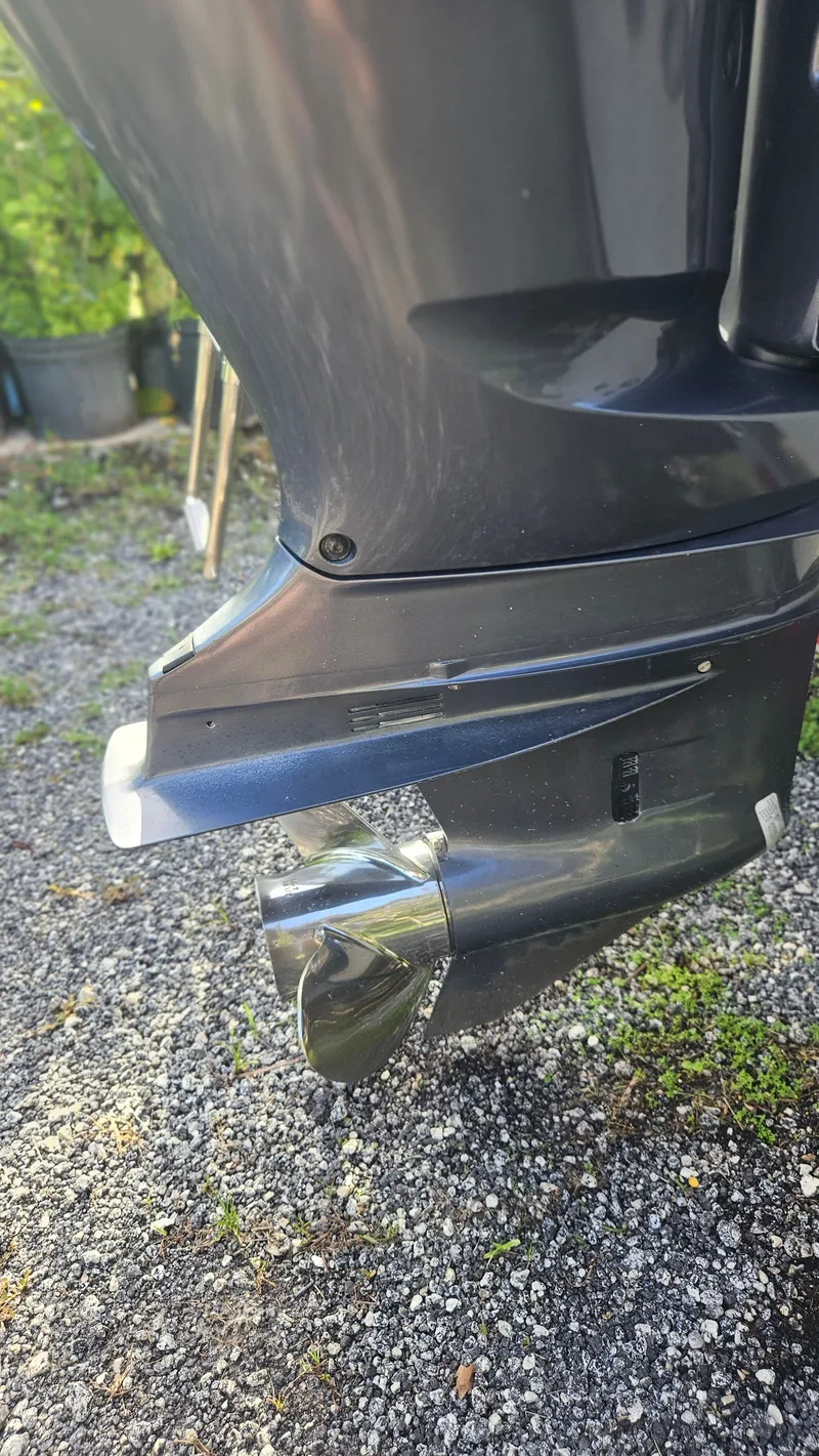 Slide: The Image of Everglades 23 CC 2014 - 39