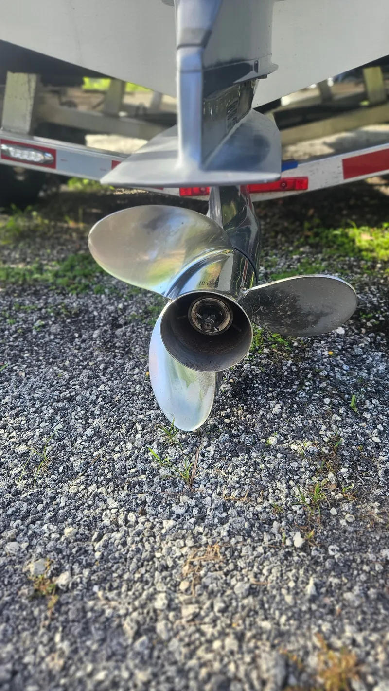 Slide: The Image of Everglades 23 CC 2014 - 40