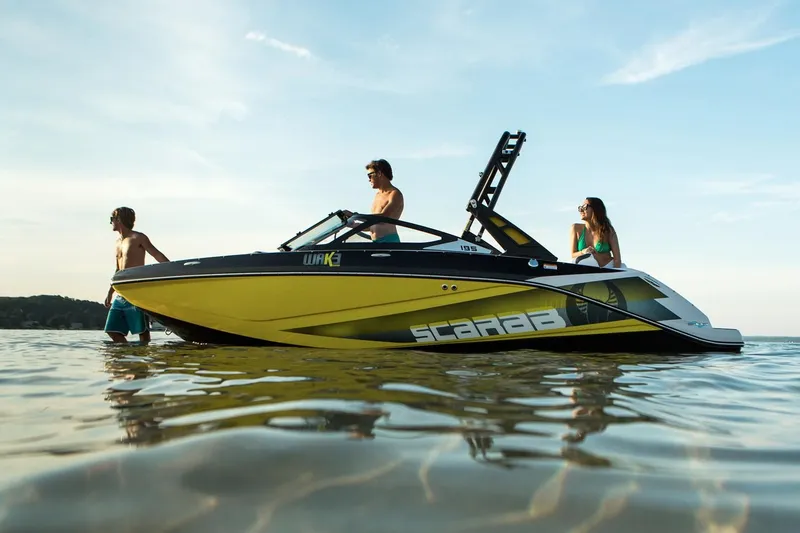 Slide: The Image of Scarab 195 ID 2018 - 10