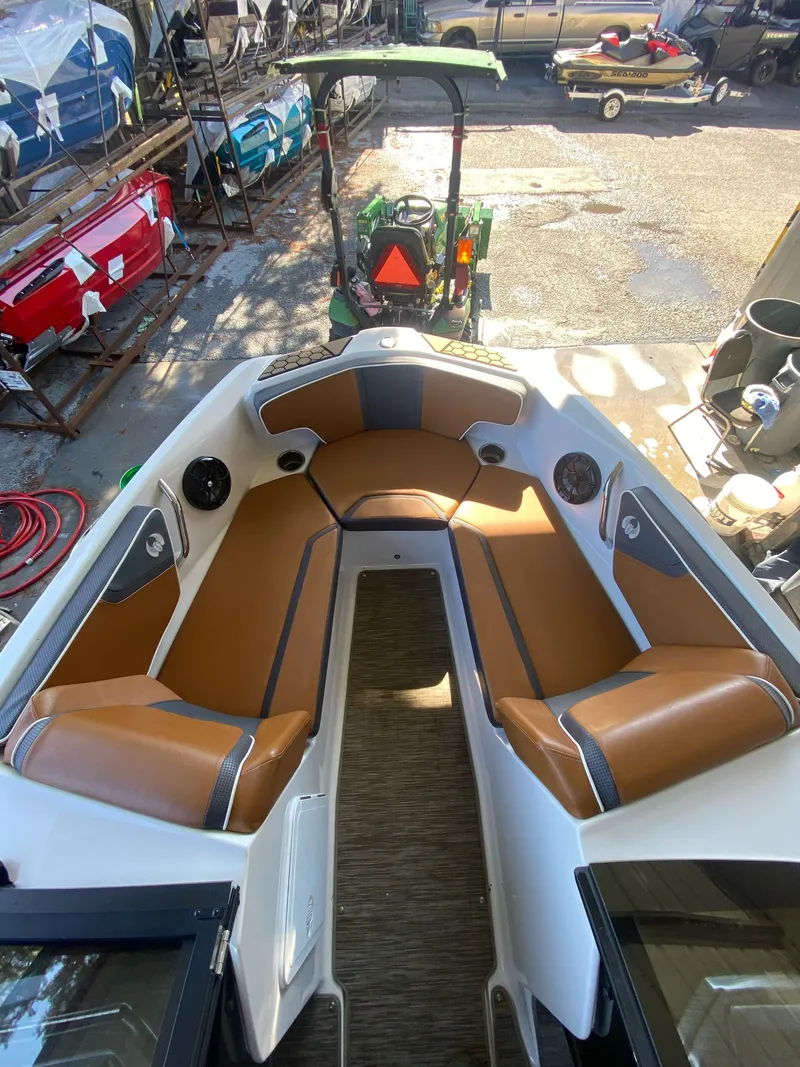 Slide: The Image of Scarab 195 ID 2018 - 19