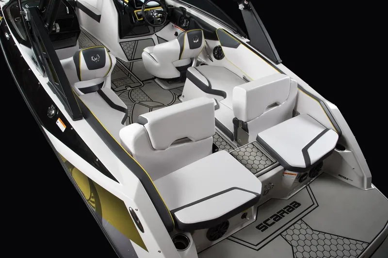 Slide: The Image of Scarab 195 ID 2018 - 7