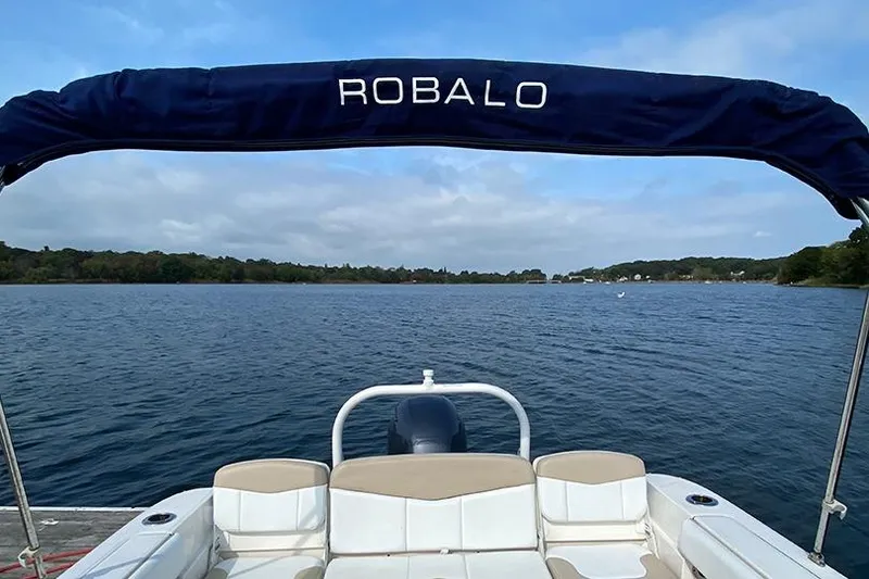 Slide: The Image of 2019 Robalo R207 Dual Console boat on a serene lake with blue canopy. - 7