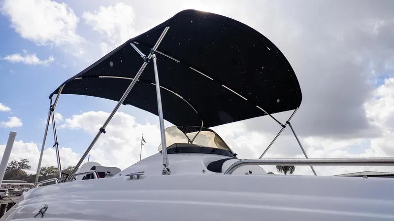 Slide: The Image of Stingray 192 SC 2026 - 22