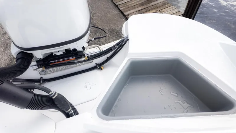 Slide: The Image of Stingray 192 SC 2026 - 5