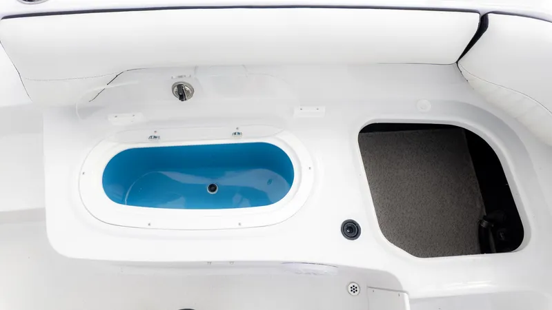 Slide: The Image of Stingray 192 SC 2026 - 8