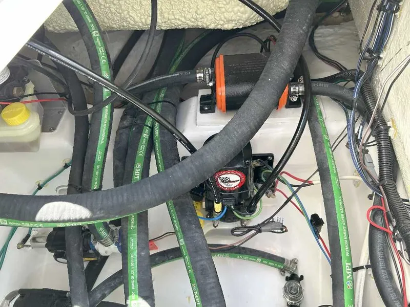 Slide: The Image of Caymas 28 HB 2026 - 17