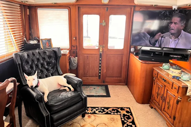 Slide: The Image of Luxurious yacht interior with a dog on a leather chair, TV, and wooden decor. - 17