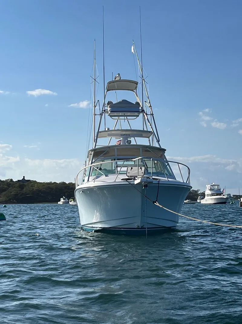 Slide: The Image of Cabo 31 Express 2000 - 11