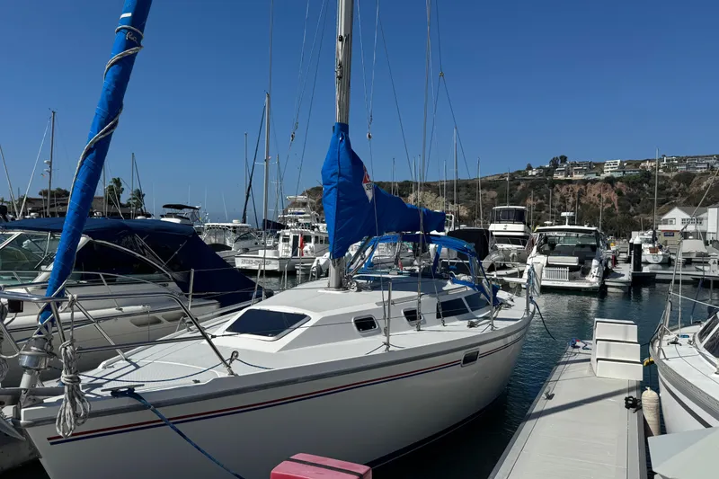 The Image of 1994 Catalina 320 sailboat docked in a marina under clear blue skies. - 0