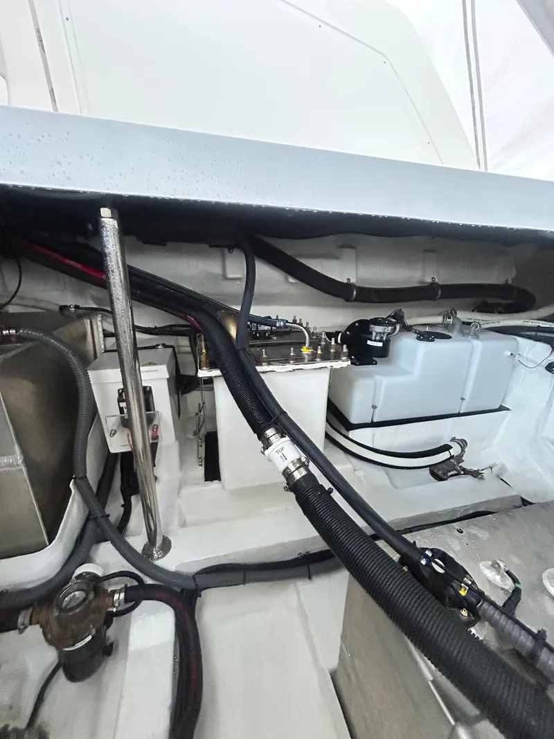 Slide: The Image of Schaefer 375 2025 - 27