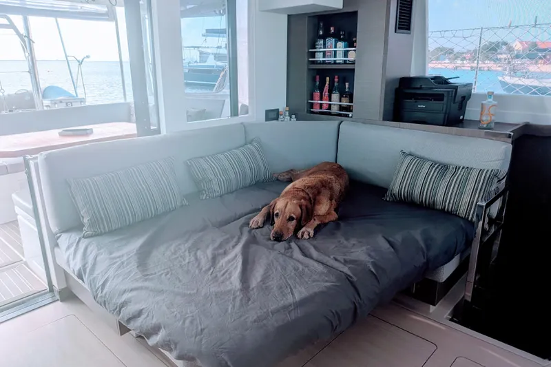 Slide: The Image of Dog relaxing on a Leopard 42 yacht's cozy interior sofa, 2023 model. - 47