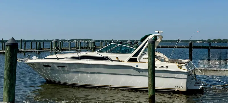 The Image of Sea Ray 300 Weekender 1986 - 0